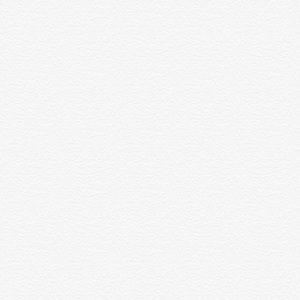 Meet your Posher, Alexa